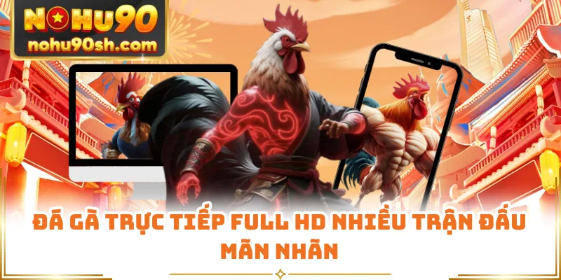 Đá gà trực tiếp full HD nhiều trận đấu mãn nhãn